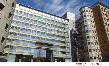 九州大学 工学部 工学部 115703387