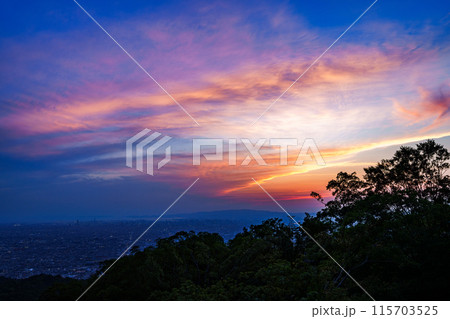 奈良と大阪の府県境　信貴生駒スカイライン600mの夕景　超広角レンズが捉えた大阪の夕空　夕焼け雲③ 115703525