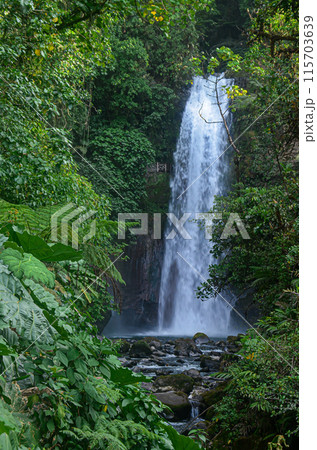 La Paz waterfalls in Costa Rica La Paz waterfalls in Costa Rica 115703639