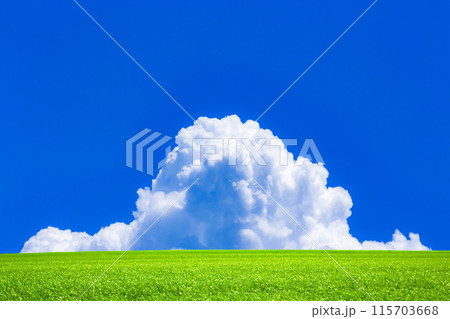 夏雲と緑の草原 夏雲と緑の草原 115703668