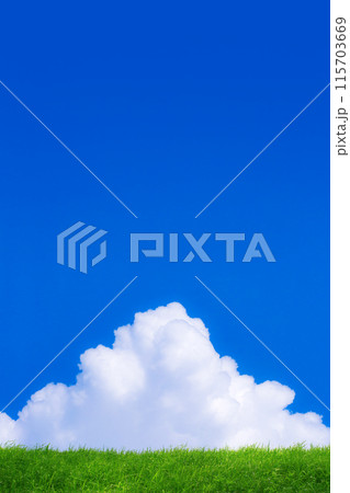 夏雲と緑の草原 夏雲と緑の草原 115703669