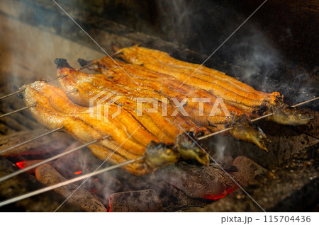 うなぎ蒲焼 115704436