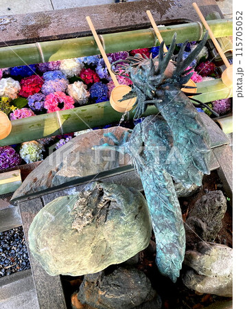 吐水口から望む手水舎の紫陽花 115705052