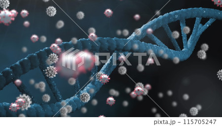 Covid-19 cells floating over dna structure spinning against blue background Covid-19 cells floating over dna structure spinning against blue background 115705247
