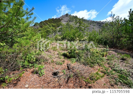 但馬国「生野城」 曲輪と石垣 但馬国「生野城」 曲輪と石垣 115705598