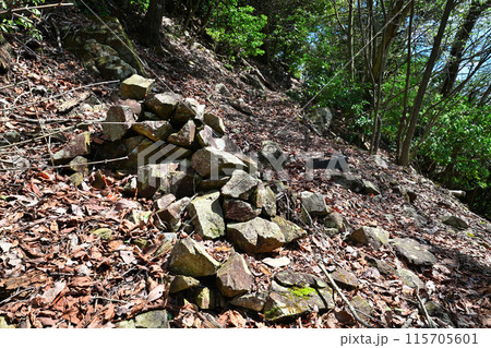 但馬国「生野城」　曲輪と石垣　 115705601