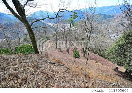 但馬国「生野城」　曲輪と石垣　 115705605