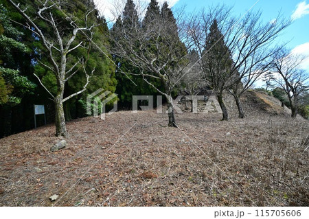 但馬国「生野城」 曲輪と石垣 但馬国「生野城」 曲輪と石垣 115705606