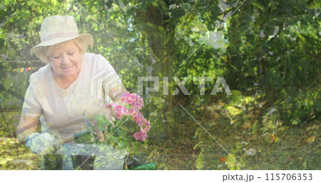 Composite image of tress in the forest against caucasian senior woman gardening in the garden 115706353