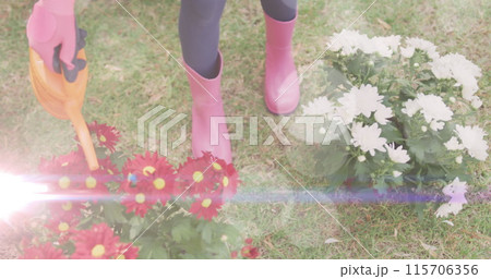 Spots of light against mid section of a woman watering plants in the garden Spots of light against mid section of a woman watering plants in the garden 115706356