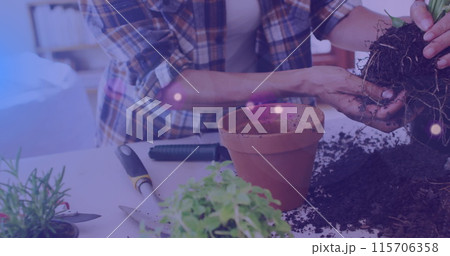 Image of blue lights over caucasian woman working in the garden Image of blue lights over caucasian woman working in the garden 115706358
