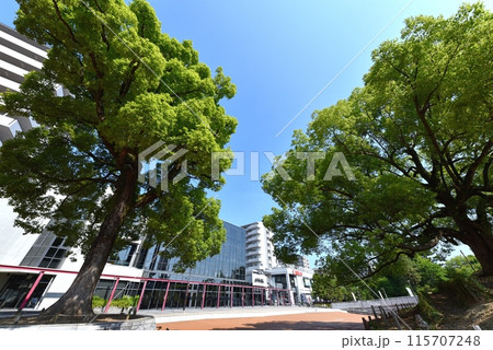 伊丹市立演劇ホール AI・HALL 伊丹市立演劇ホール AI・HALL 115707248