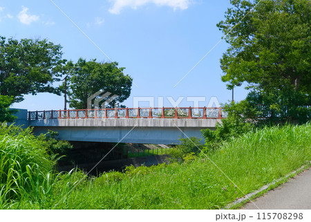千葉県松戸市矢切の風景2024年6月 千葉県松戸市矢切の風景2024年6月 115708298
