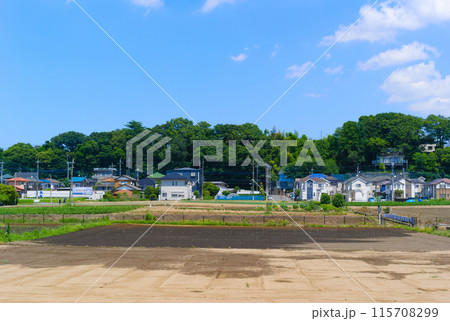 千葉県松戸市野菊の墓周辺2024年6月 115708299