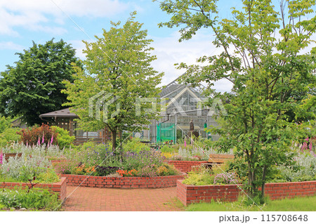 池田町ハーブステーション 花とハーブのガーデン 池田町ハーブステーション 花とハーブのガーデン 115708648