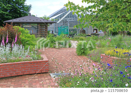 池田町ハーブステーション　花とハーブのガーデン 115708650