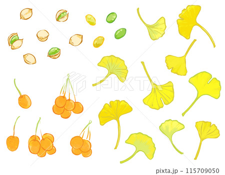 筆タッチのイチョウの葉っぱと銀杏の線画イラストセット 115709050