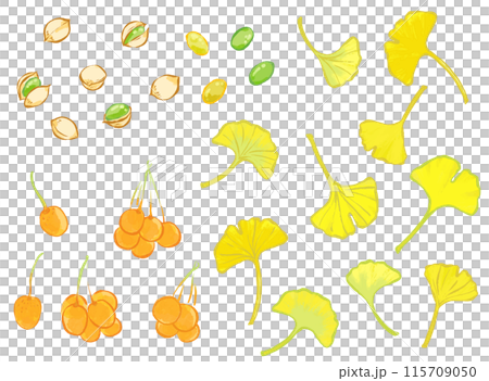 筆タッチのイチョウの葉っぱと銀杏の線画イラストセット 115709050