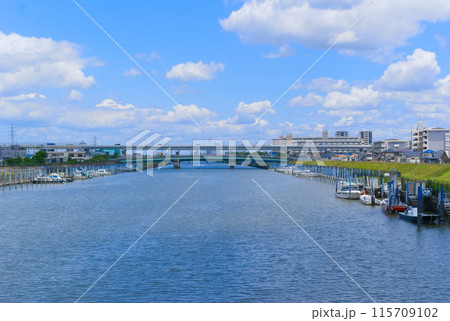 東京都江戸川区新中川2024年6月 東京都江戸川区新中川2024年6月 115709102