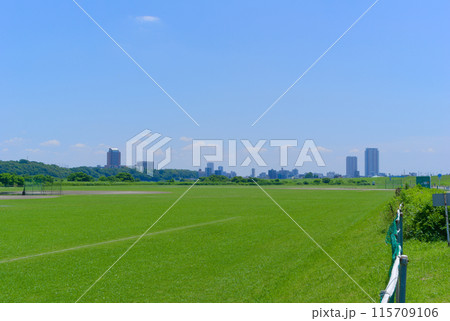 東京都江戸川区江戸川河川敷グラウンド2024年6月 115709106