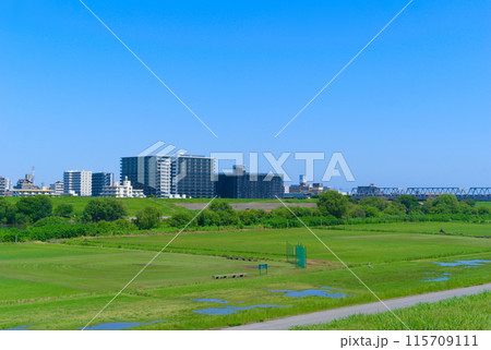 千葉県流山市から見る三郷駅方面2024年6月 千葉県流山市から見る三郷駅方面2024年6月 115709111