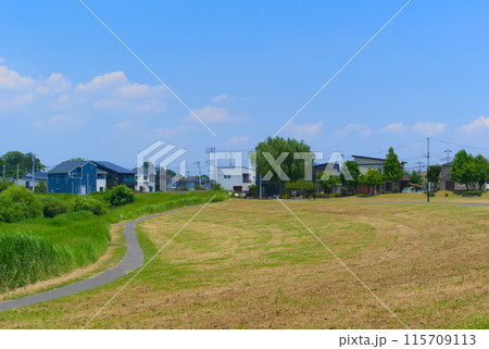 千葉県流山市大堀川水辺公園周辺2024年6月 千葉県流山市大堀川水辺公園周辺2024年6月 115709113