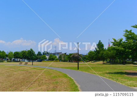 千葉県流山市大堀川水辺公園周辺2024年6月 115709115