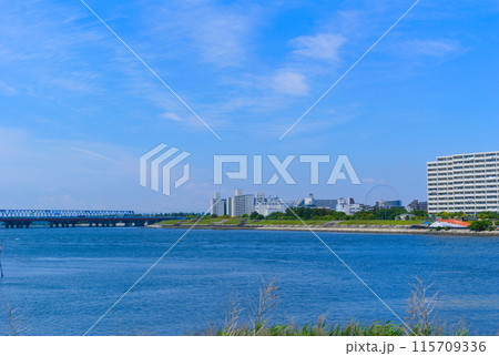 千葉県浦安市舞浜大橋周辺2024年6月 千葉県浦安市舞浜大橋周辺2024年6月 115709336