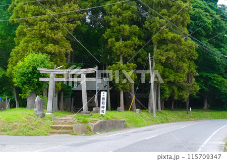 千葉県野田市尾崎香取神社周辺2024年6月 千葉県野田市尾崎香取神社周辺2024年6月 115709347