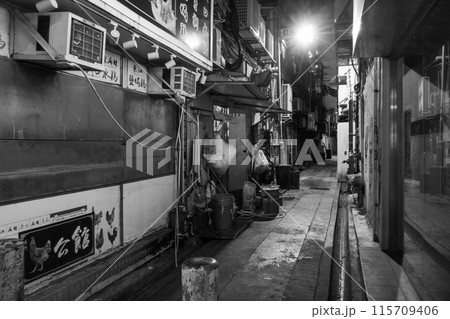 モノクロ迷路：路地裏の都市のタペストリー 115709406