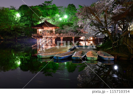 浮御堂と桜 115710354