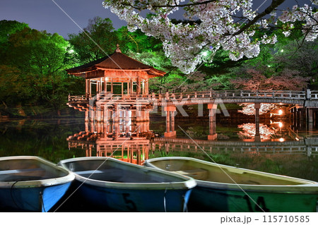 浮御堂と桜 浮御堂と桜 115710585