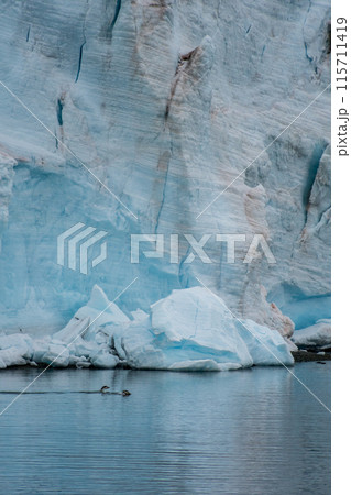 Swimming and Jumping Penguins among the Antarctic Sea Ice 115711419