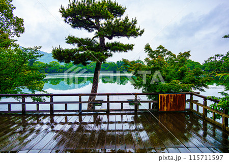 京都、大覚寺大沢の池 115711597