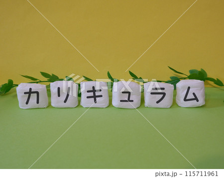 カリキュラムのアイキャッチ画像 115711961