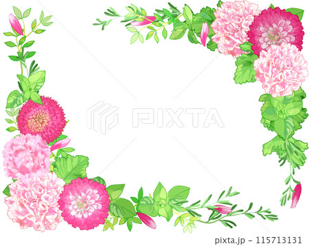 ハーブとカーネーションの優しいフレーム 115713131