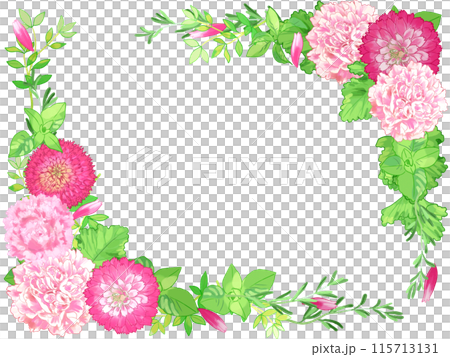 ハーブとカーネーションの優しいフレーム 115713131