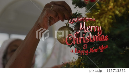 Image of wishing you a merry christmas and a happy new year text over african american woman Image of wishing you a merry christmas and a happy new year text over african american woman 115713851