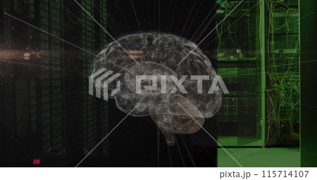 Image of connections and digital brain over server room Image of connections and digital brain over server room 115714107
