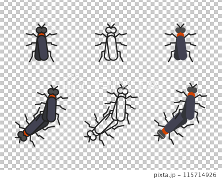 Lovebug Plecia Nearcteca vector icon illustration 115714926