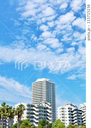 千葉県　新浦安　青空のマンション 115715236