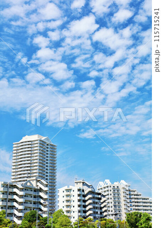 千葉県 新浦安 青空のマンション 千葉県 新浦安 青空のマンション 115715241