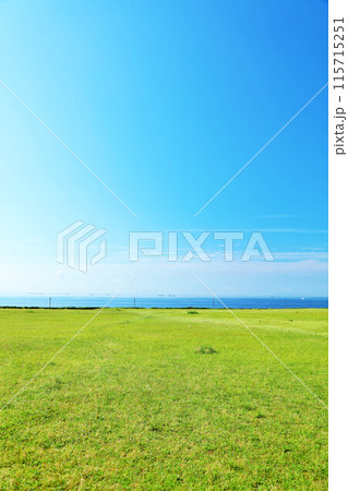 千葉県　新浦安　青空の海の見える公園 115715251