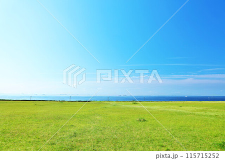 千葉県　新浦安　青空の海の見える公園 115715252