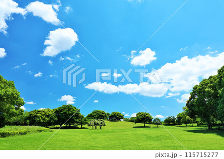 千葉県 爽やかな青空と新緑の公園 千葉県 爽やかな青空と新緑の公園 115715277