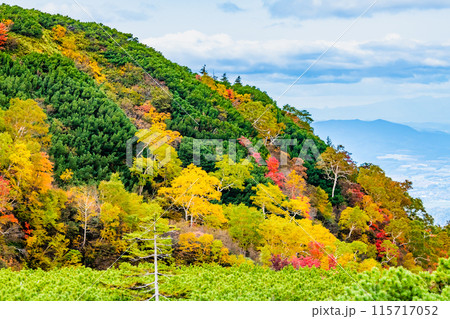 十勝岳の麓に広がる紅葉 十勝岳の麓に広がる紅葉 115717052