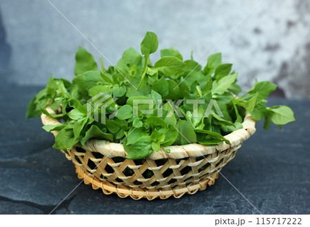 Chickweed, lat. Stellaria media in a bowl on the stone table. 115717222