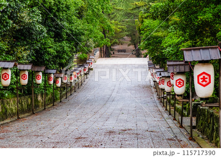 出雲大社　参道 115717390