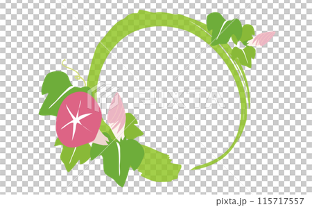 ピンクの朝顔の花の背景フレームイラスト素材 ピンクの朝顔の花の背景フレームイラスト素材 115717557