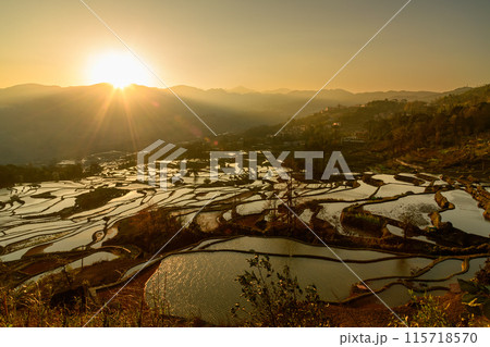 Yuanyang rice terrace at sunrise, Yunnan province, China Yuanyang rice terrace at sunrise, Yunnan province, China 115718570